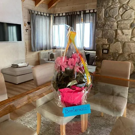 Dolomite Nest * Cencenighe Agordino